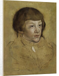 Portrait of a Prince of Saxony, 1530-1540 by Lucas Cranach the Elder