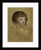 Portrait of a Prince of Saxony, 1530-1540 by Lucas Cranach the Elder
