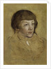 Portrait of a Prince of Saxony, 1530-1540 by Lucas Cranach the Elder