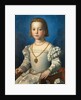 Portrait of Bia de Medici, 1542 by Agnolo Bronzino