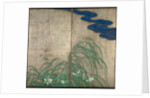 Summer and autumn flower plants. (Part of the pair of two-fold screens) by Sakai Hoitsu
