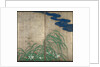 Summer and autumn flower plants. (Part of the pair of two-fold screens) by Sakai Hoitsu