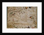 Nautical chart of the Mediterranean Sea and the Black Sea, 1440s by Pere Rossell