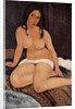 Seated Nude, 1917 by Amedeo Modigliani
