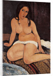Seated Nude, 1917 by Amedeo Modigliani