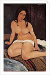 Seated Nude, 1917 by Amedeo Modigliani