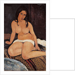 Seated Nude, 1917 by Amedeo Modigliani