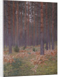 Ferns, 1894 by Isaak Ilyich Levitan