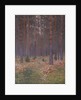 Ferns, 1894 by Isaak Ilyich Levitan
