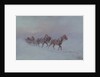 Snowstorm, 1901 by Nikolai Nikolayevich Karasin