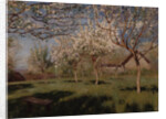 Apple trees blooming by Isaak Ilyich Levitan