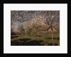 Apple trees blooming by Isaak Ilyich Levitan