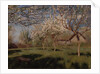 Apple trees blooming by Isaak Ilyich Levitan
