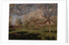 Apple trees blooming by Isaak Ilyich Levitan