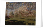 Apple trees blooming by Isaak Ilyich Levitan