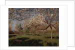 Apple trees blooming by Isaak Ilyich Levitan