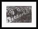 The Kuomintang troops captured Beijing in June 1928 by Anonymous