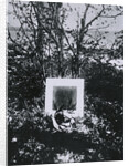 Kazimir Malevichs Grave at Nemchinovka by Anonymous