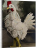 Fritzi Massary in revue Hurra! Wir Leben noch! at the Metropoltheater, Berlin by Anonymous