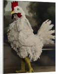 Fritzi Massary in revue Hurra! Wir Leben noch! at the Metropoltheater, Berlin by Anonymous