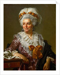 Portrait of Geneviève Jacqueline Pécoul by Jacques Louis David
