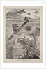 Illustration for Le vingtième siècle: La vie électrique by Albert Robida