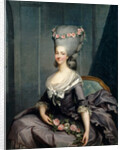 Portrait of Marie Louise of Savoy, Princess of Lamballe by Antoine-François Callet