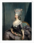 Portrait of Marie Louise of Savoy, Princess of Lamballe by Antoine-François Callet