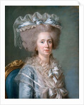 Princess Marie Adélaïde of France by Adélaïde Labille-Guiard