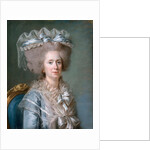 Princess Marie Adélaïde of France by Adélaïde Labille-Guiard