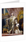 Portrait of Louis XV in his royal costume by Louis Michel Van Loo