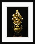 The Golden Rose by Pietro Paolo Spagna