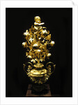 The Golden Rose by Pietro Paolo Spagna