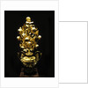 The Golden Rose by Pietro Paolo Spagna