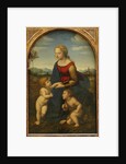 Madonna and Child with Saint John the Baptist (La belle jardinière) by Raphael