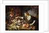 Woman taking fruit by Abraham Brueghel