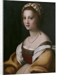 Portrait of a woman by Andrea del Sarto