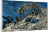 Trees on a Mountain Slope by Ernst Ludwig Kirchner