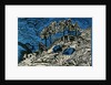 Trees on a Mountain Slope by Ernst Ludwig Kirchner