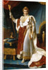 Portrait of Emperor Napoléon I Bonaparte in his Coronation Robes by François Pascal Simon Gérard