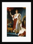 Portrait of Emperor Napoléon I Bonaparte in his Coronation Robes by François Pascal Simon Gérard