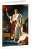 Portrait of Emperor Napoléon I Bonaparte in his Coronation Robes by François Pascal Simon Gérard