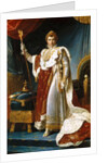 Portrait of Emperor Napoléon I Bonaparte in his Coronation Robes by François Pascal Simon Gérard