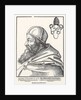 Portrait of Pope Paul III Farnese by Erhard Schoen