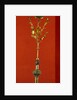 The Golden Rose by Minucchio da Siena