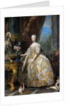 Portrait of Marie Leszczynska, Queen of France by Carle Van Loo