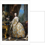Portrait of Marie Leszczynska, Queen of France by Carle Van Loo