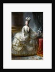 Portrait of Queen Marie Antoinette of France by Marie Louise Elisabeth Vigée-Lebrun