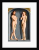 Adam and Eve (Sedano Family Triptych, exterior panels) by Gerard David