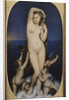 Venus Anadyomene by Jean Auguste Dominique Ingres